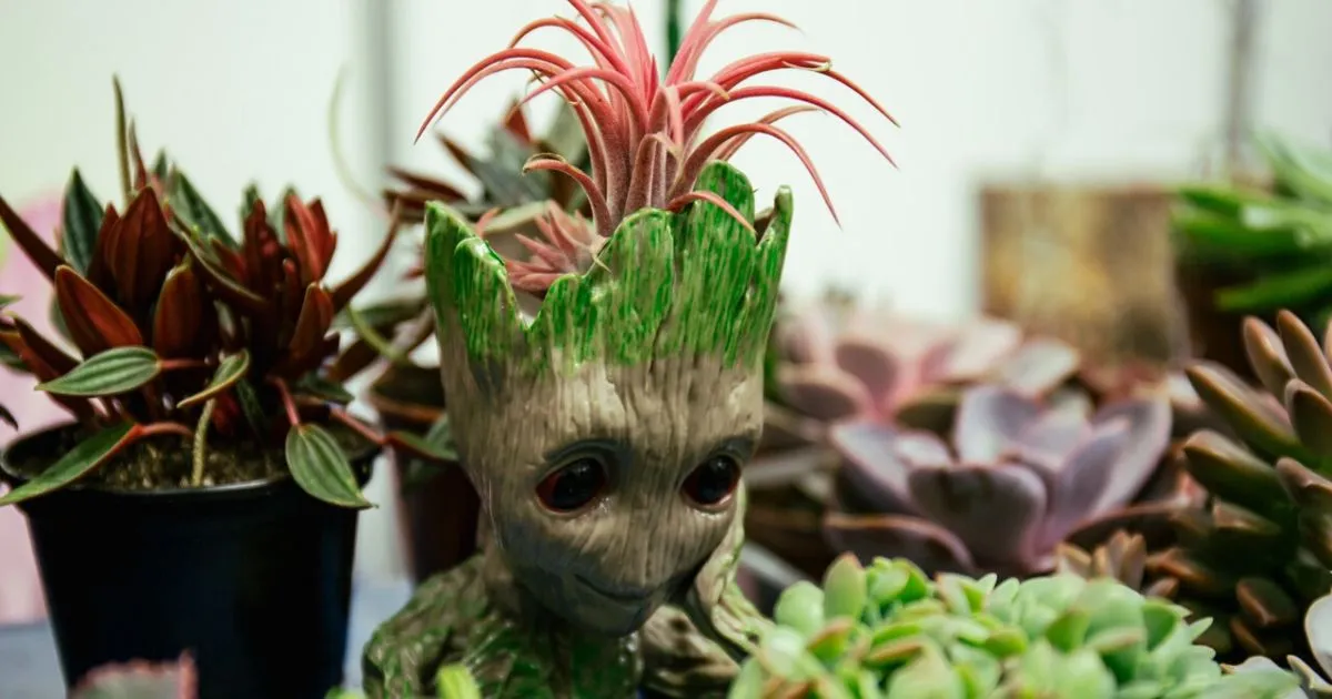 Зображення до новини