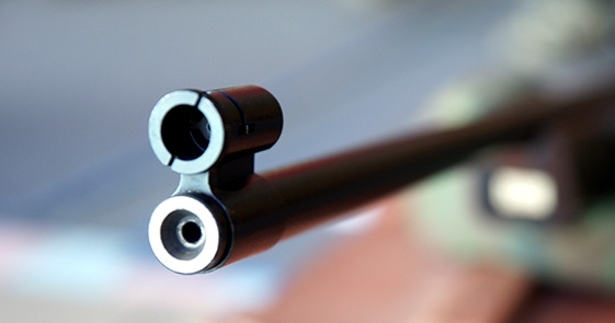 58-річний чоловік стріляв з пневматичної зброї у вінницькому парку «Хімік»