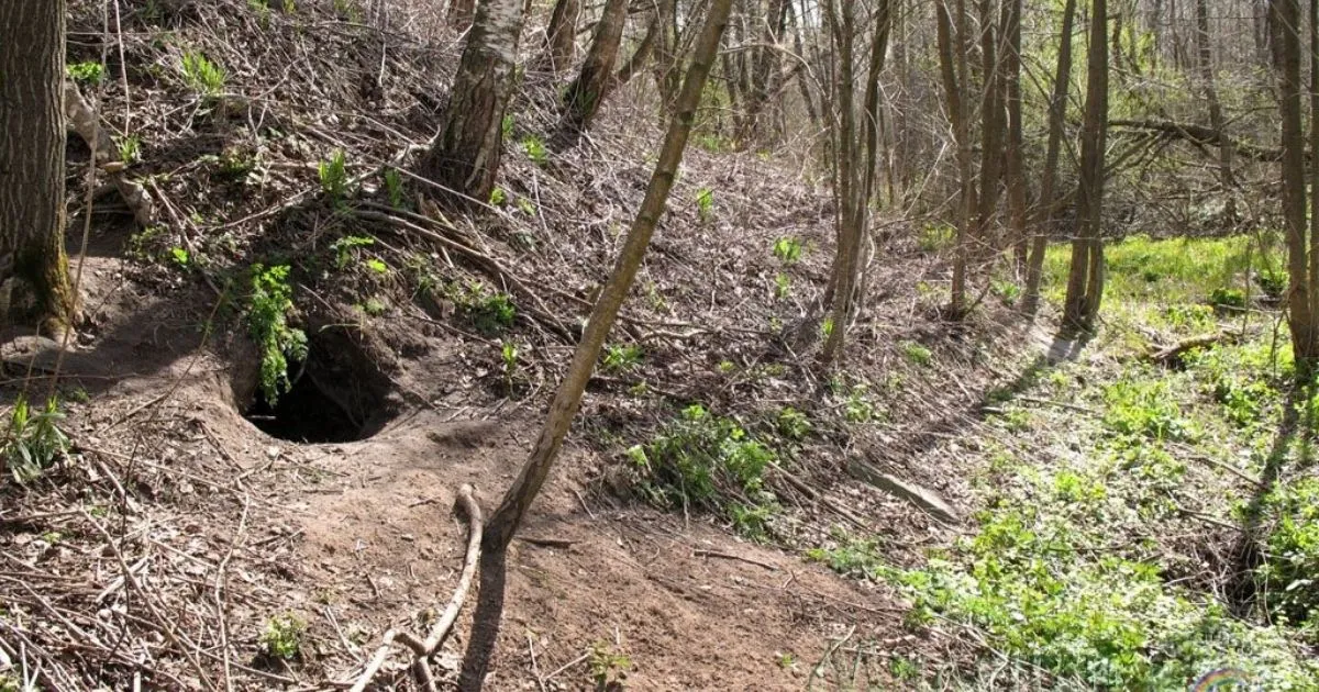 Зображення до новини