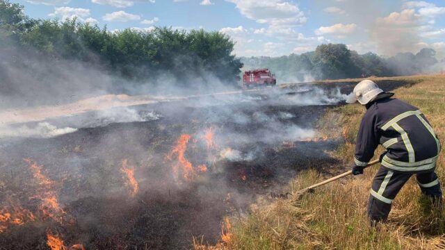 За три доби у Вінницькій області згоріло понад 36 гектарів сухої рослинності