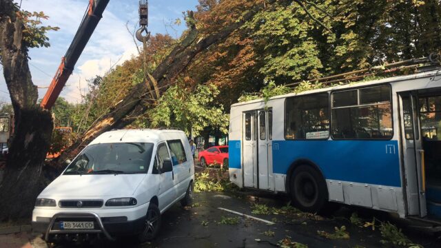 Повалені дерева і затоплені вулиці: наслідки короткочасної грози у Вінниці. ФОТО, ВІДЕО