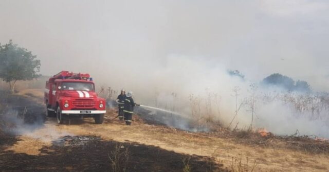 14 пожеж за добу: на Вінниччині знову горить суха трава. ФОТО