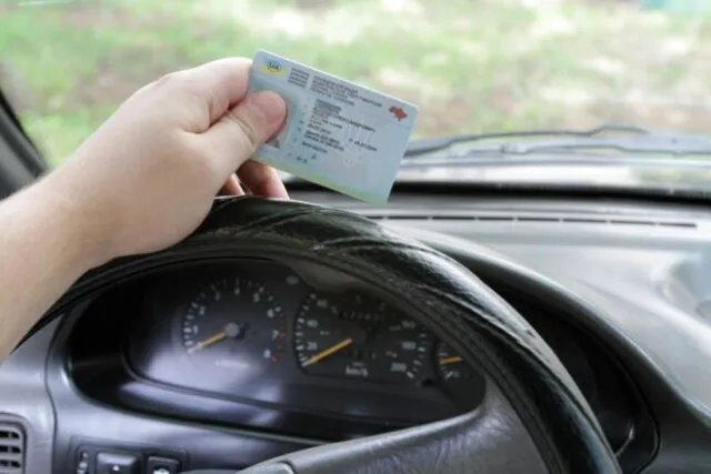 В Україні запрацював сервіс МВС з перевірки водійських посвідчень онлайн