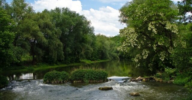 З ватрою та піснями: на Вінниччині просять допомогти розчистити річку