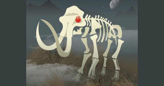 “Скелети з музейної шафи”: Вінницький краєзнавчий музей запрошує на “хелловінські” екскурсії