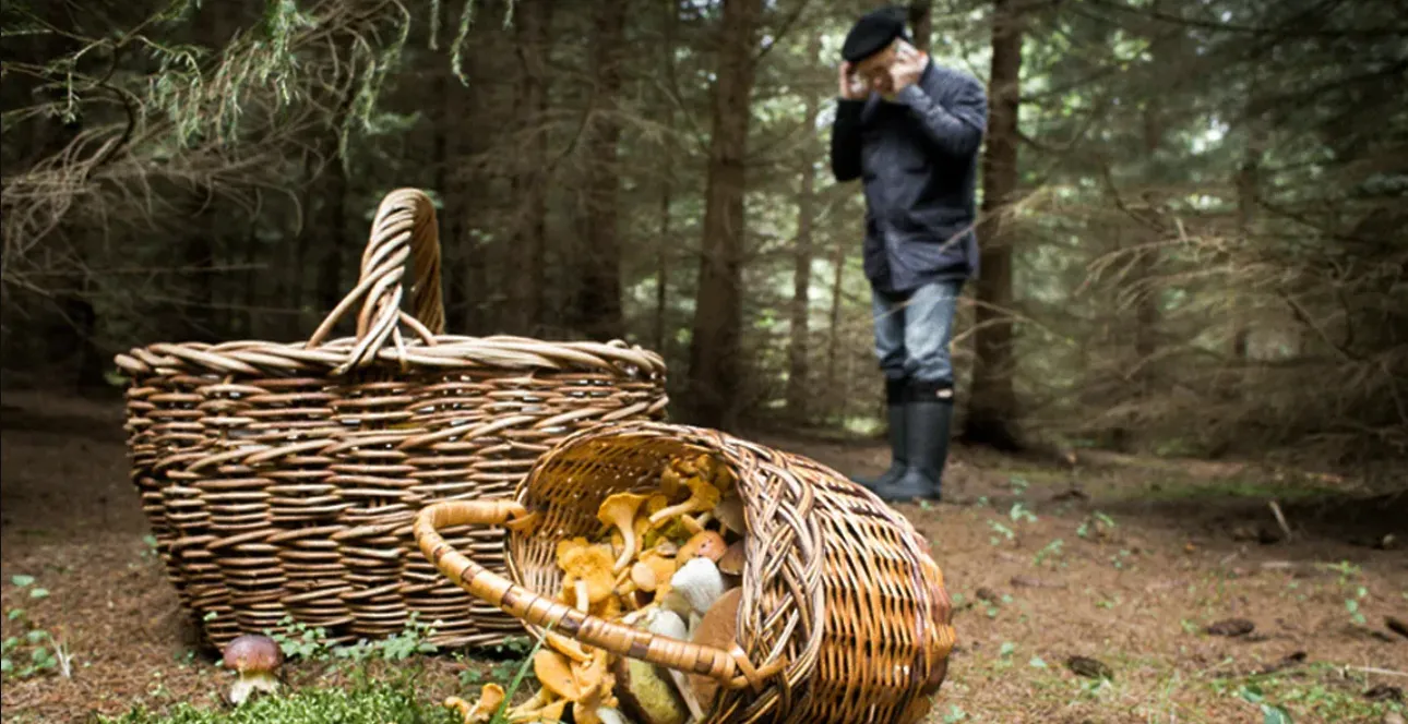 Зображення до новини