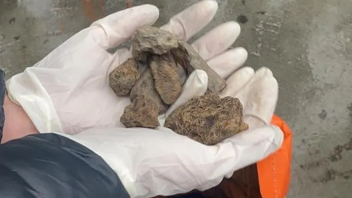 Зображення до новини