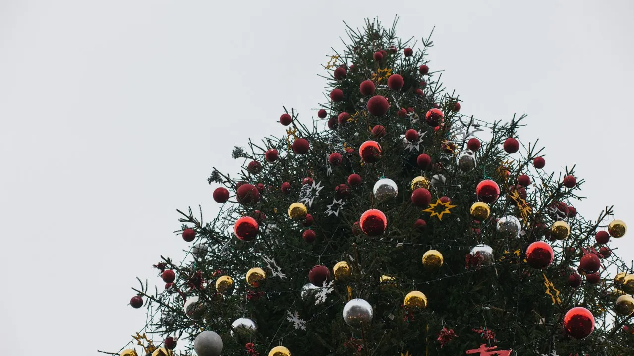 Зображення до новини