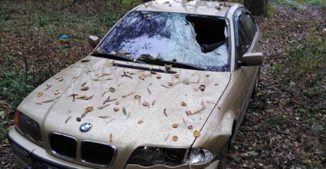 У мережі опублікували відео смертельної ДТП, після якої водій BMW зник з місця події