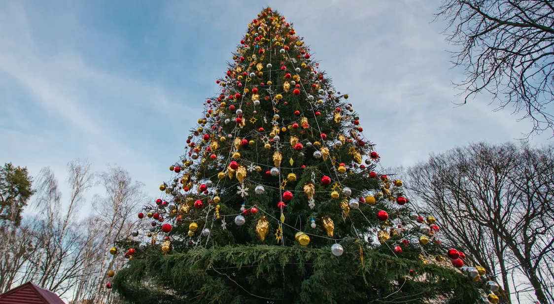 Зображення до новини