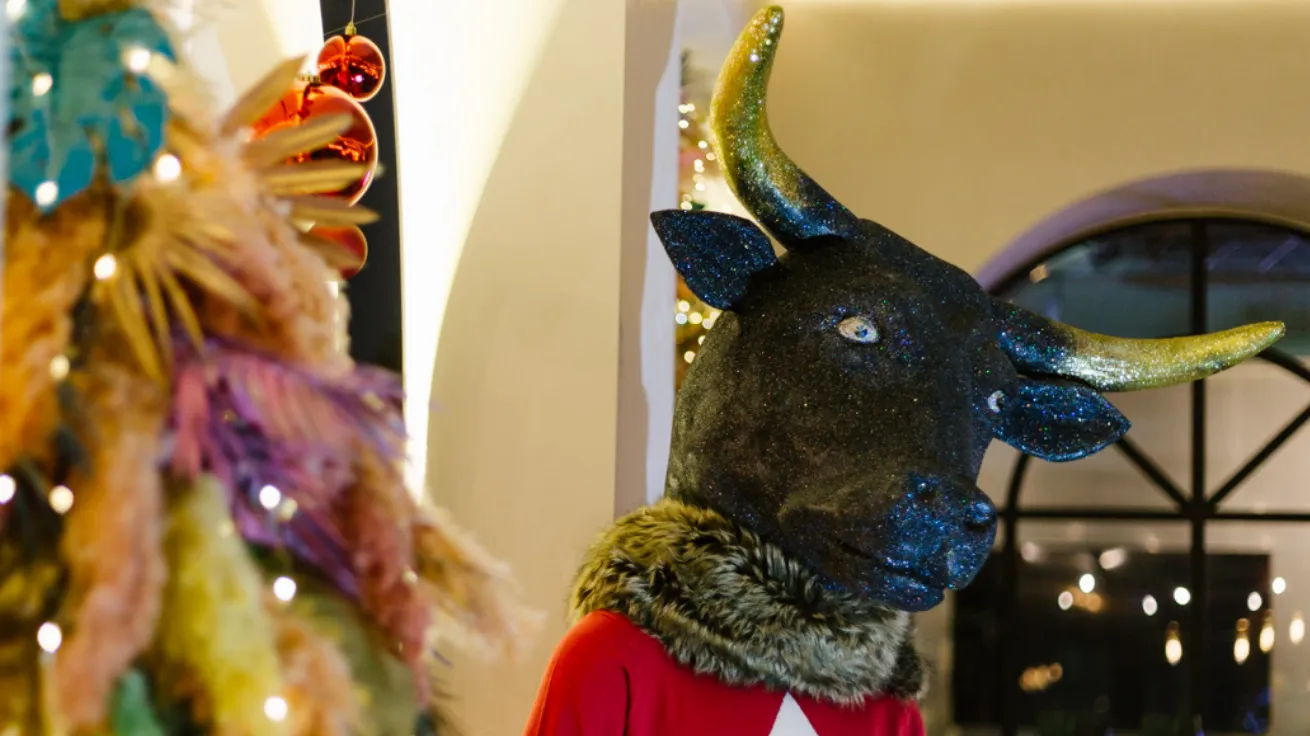 Зображення до новини