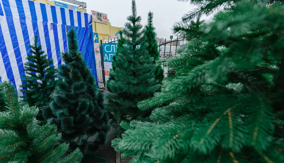 Зображення до новини