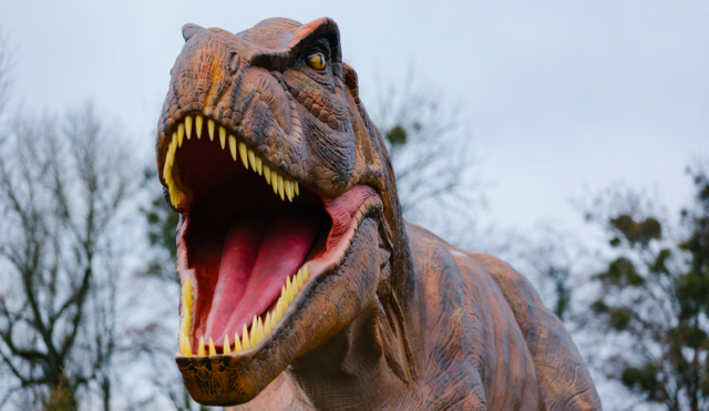Як у Юрському періоді: у Вінниці відкрили “Парк динозаврів”. ФОТО, ВІДЕО