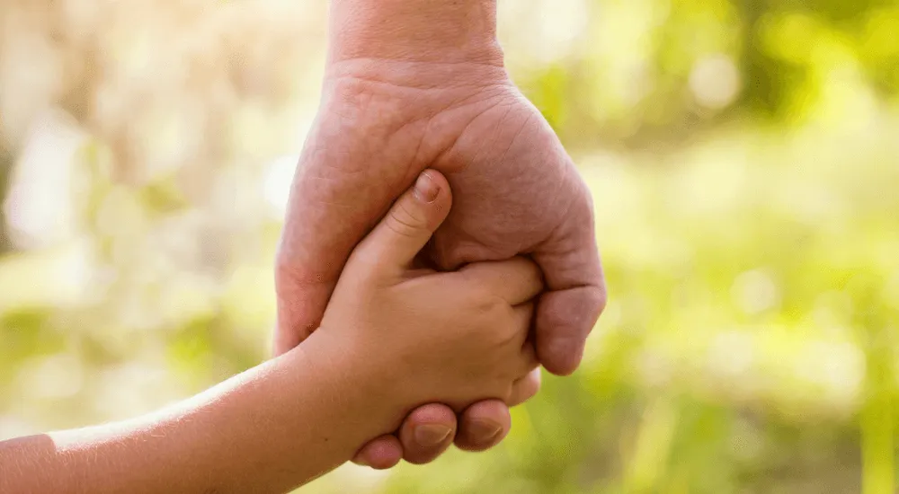 Зображення до новини