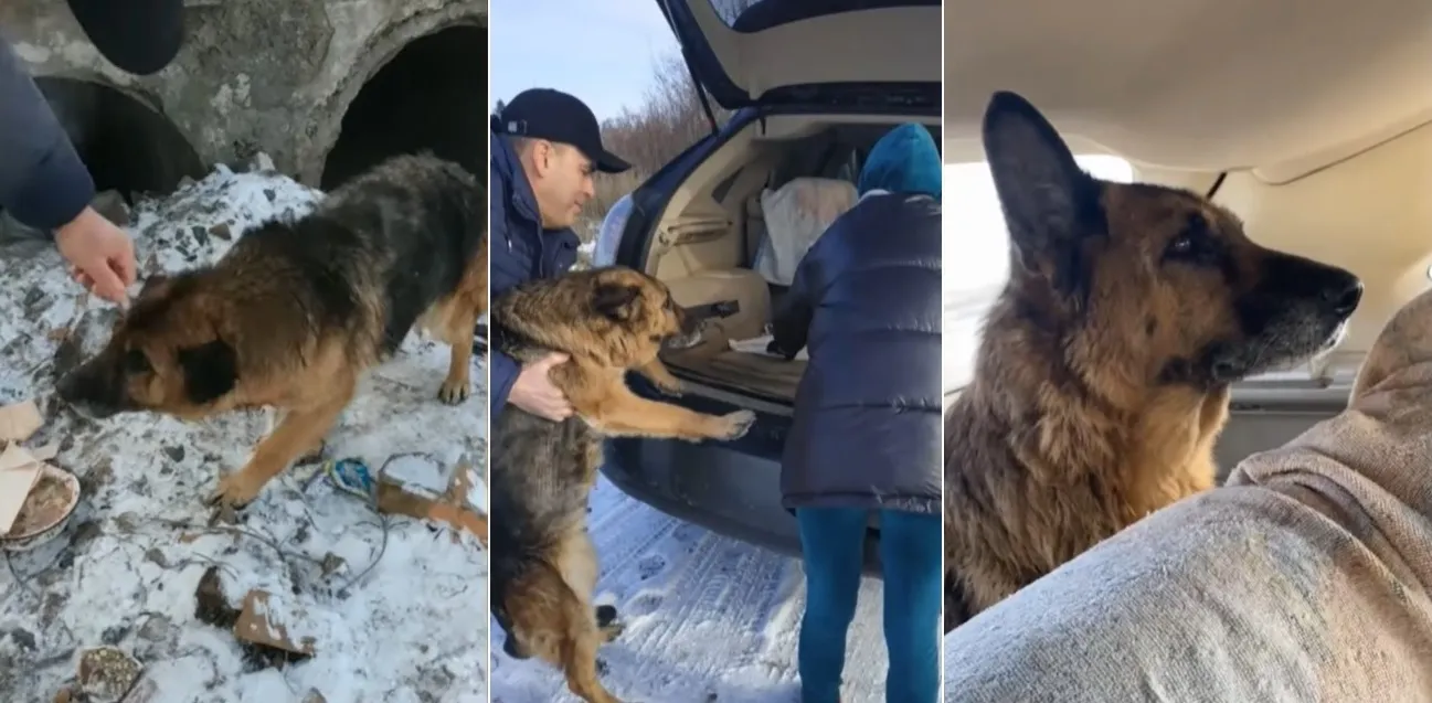 Зображення до новини