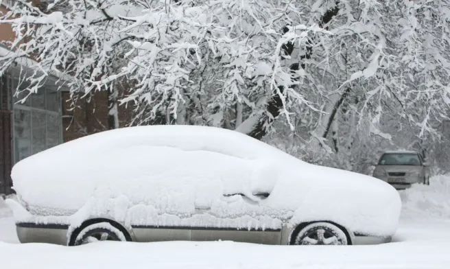 Зображення до новини