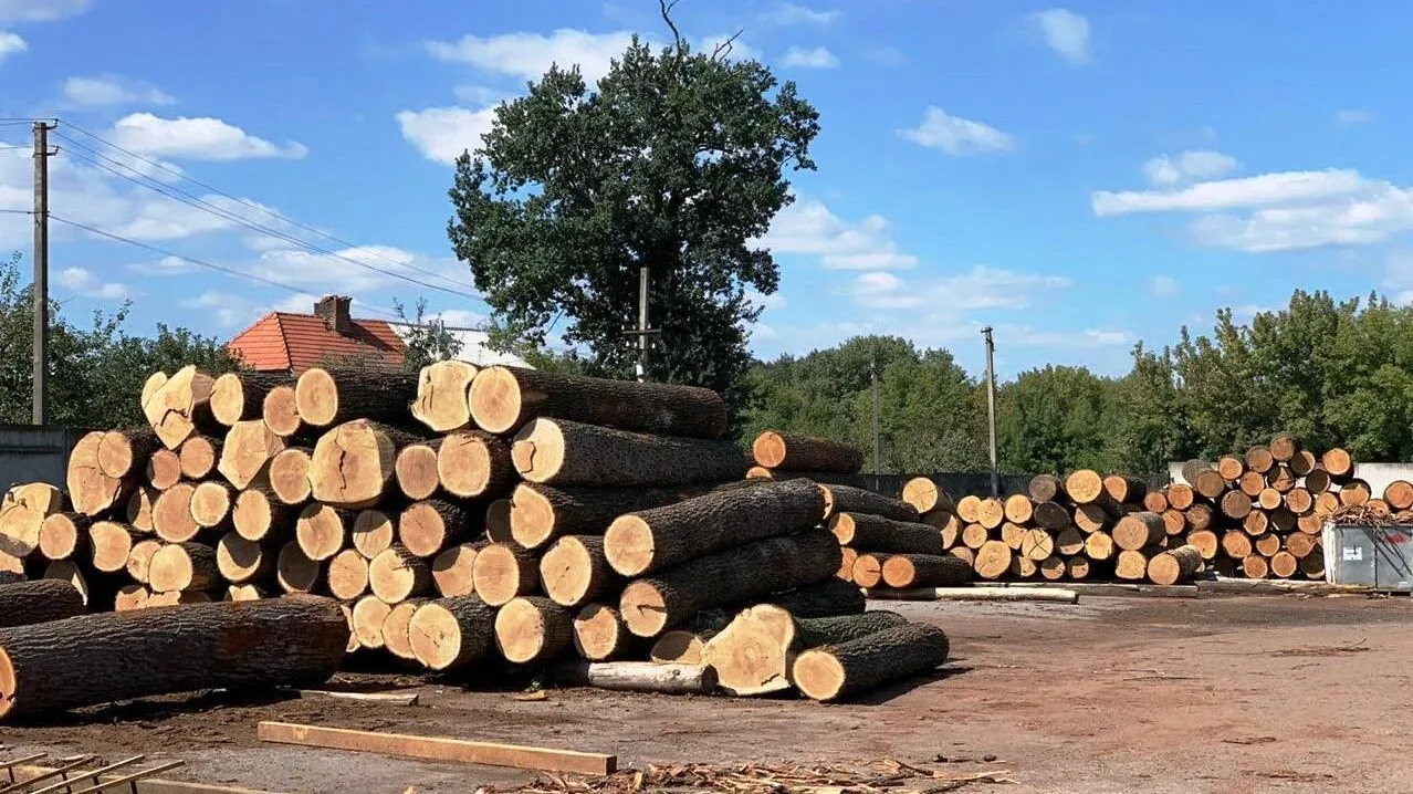 Зображення до новини