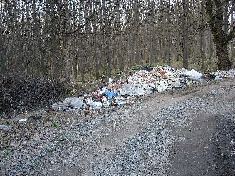 Свалки в лесу картинки