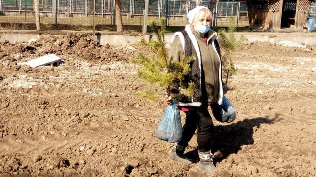 На території майбутнього контактного дворика у “Подільському зоопарку” висадили деревця. ФОТО