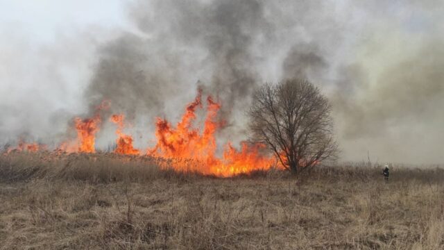 На Вінниччині за добу згоріло майже 30 гектарів сухої рослинності. ФОТО