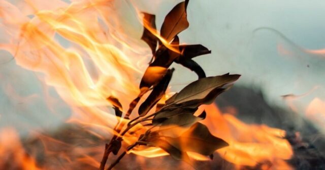 Мобільні бригади проти паліїв: у Вінниці стартують весняні рейди з виявлення спалювачів листя