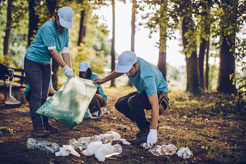 Минулого року на Вінниччині лісівники прибрали 43 стихійні сміттєзвалища. ФОТО
