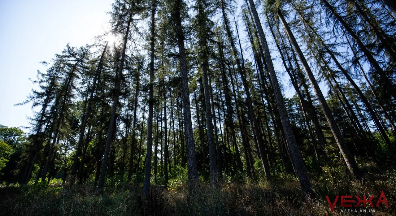 Зображення до новини