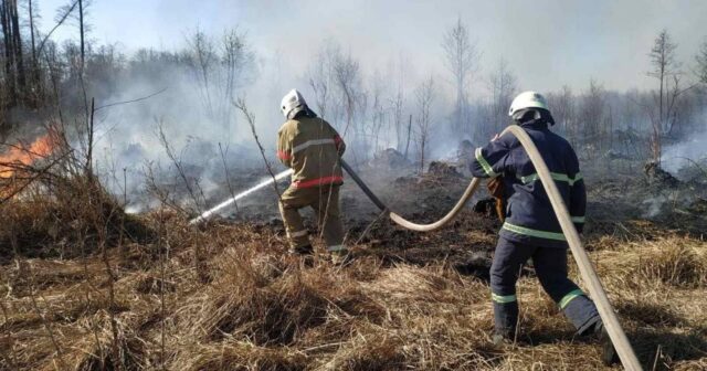 За минулу добу рятувальники Вінниччини ліквідували 49 пожеж в екосистемах