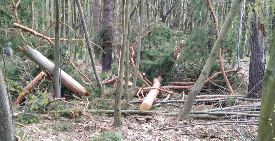 Зображення до новини