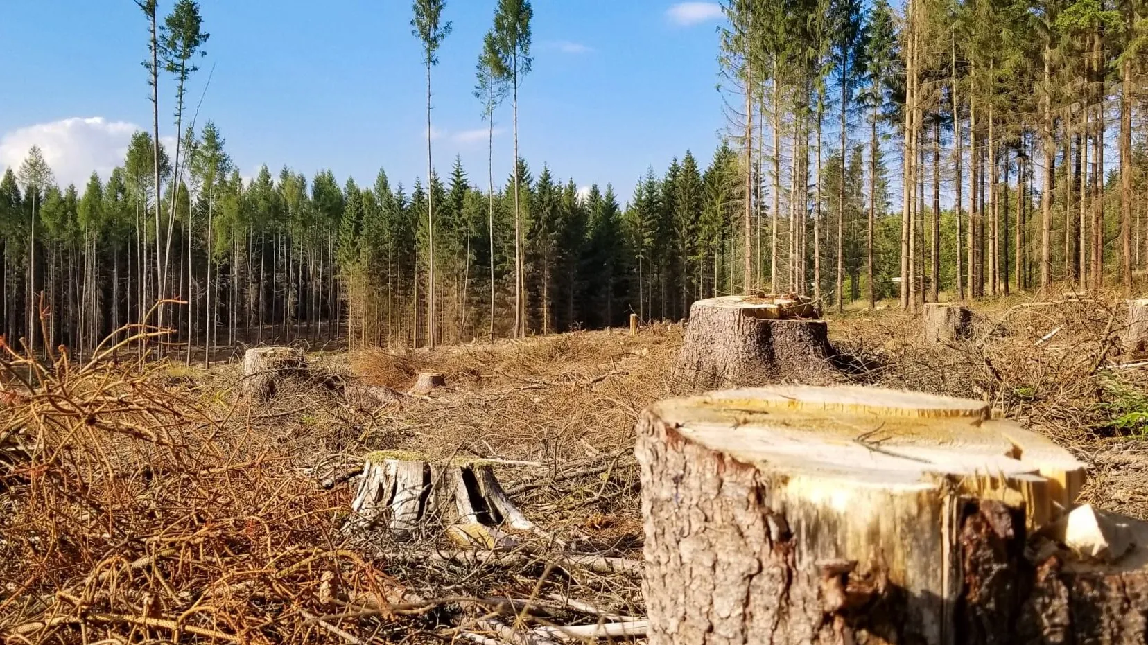 Зображення до новини