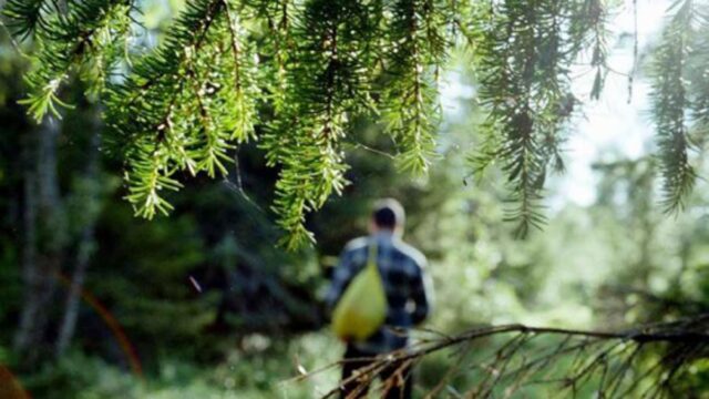 Грибники пройшли майже 10 кілометрів: на Вінниччині патрульні допомогли вінничанам, які заблукали у лісі