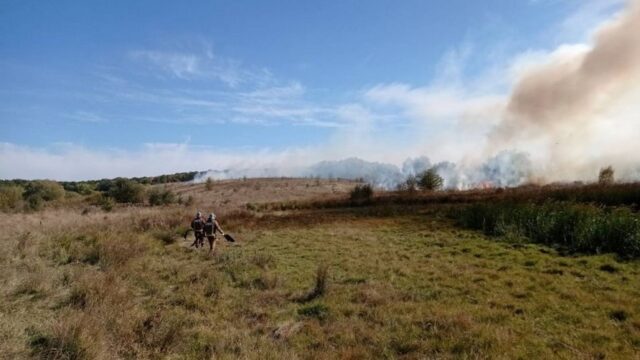 За минулу добу на Вінниччині згоріло близько 10 гектарів сухого настилу. ФОТО