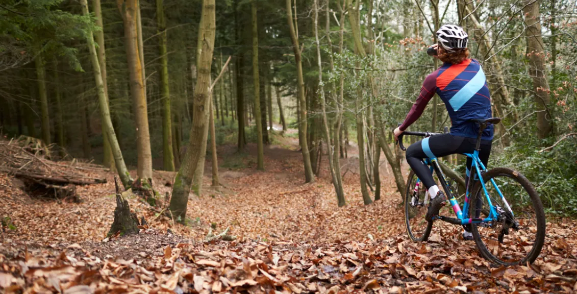 Зображення до новини