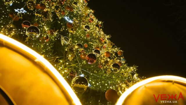 У Вінниці до 13 грудня планують встановити дві новорічні ялинки