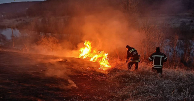 Вогонь знищив понад 33 гектари сухого настилу: за добу на Вінниччині сталося 26 пожеж в екосистемах