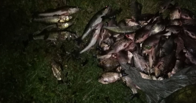 Сім судаків та 88 карасів: на Вінниччині чоловік риболовлею завдав збитків на понад 164 тисячі гривень