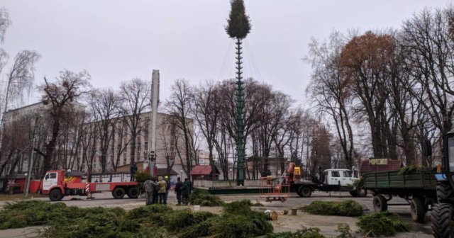 У Вінниці почали монтувати головну новорічну ялинку. ФОТО