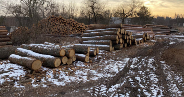 Судитимуть екс-службовця держлісгоспу за незаконну порубку лісу на Вінниччині на майже пів мільйона гривень