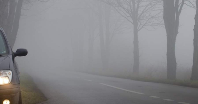 Видимість до 500 метрів: синоптики попереджають про туман на Вінниччині сьогодні та завтра