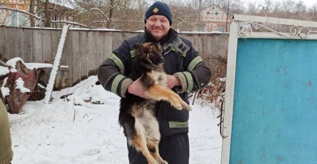 На Вінниччині рятувальники визволили пса, який застряг у паркані. ФОТО