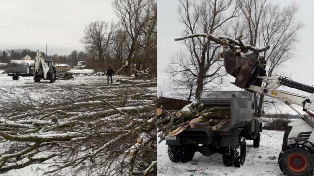 На Вінниччині з аварійних дерев заготовили дрова для опалювання школи