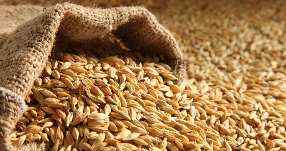 Зображення до новини