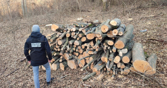 На Вінниччині за допомогою квадрокоптера прикордонники виявили незаконну вирубку лісу 