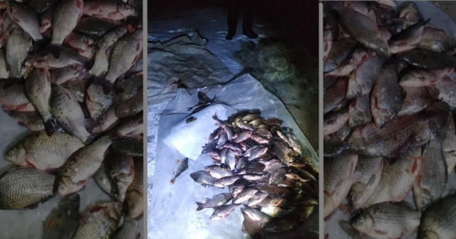 У Вінницькому районі спіймали рибалок, які виловили 40 кілограмів риби забороненими знаряддями