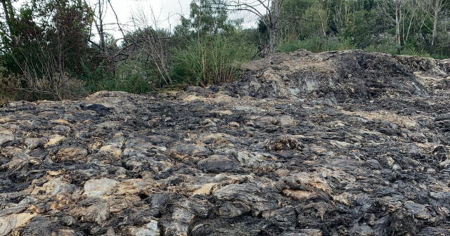 Керівника держпідприємства викрили на масштабному забрудненні земель поблизу Вінниці