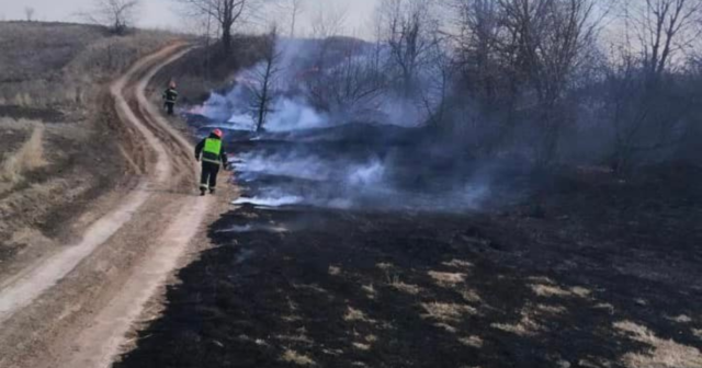 “Вже не вкладається у свідомості”: рятувальники Вінниччини закликають не влаштовувати пожежі в екосистемах