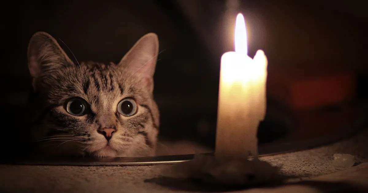 Зображення до новини