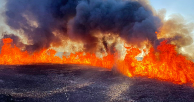 На Вінниччині внаслідок пожеж в екосистемах загинули дві людини. ВІДЕО