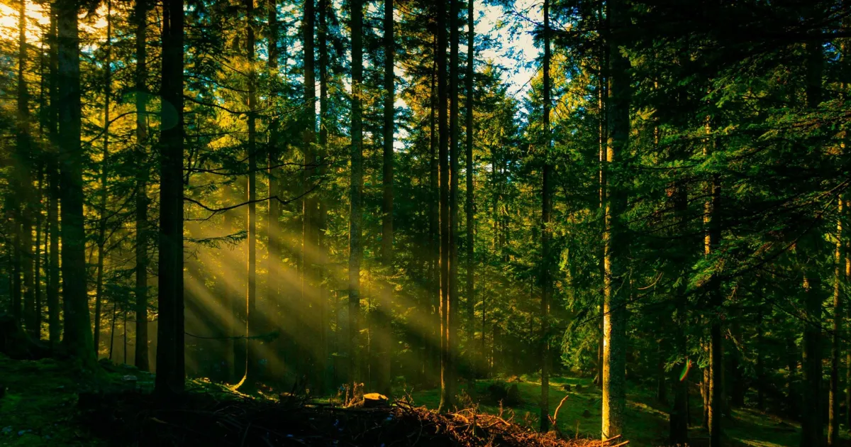 Зображення до новини