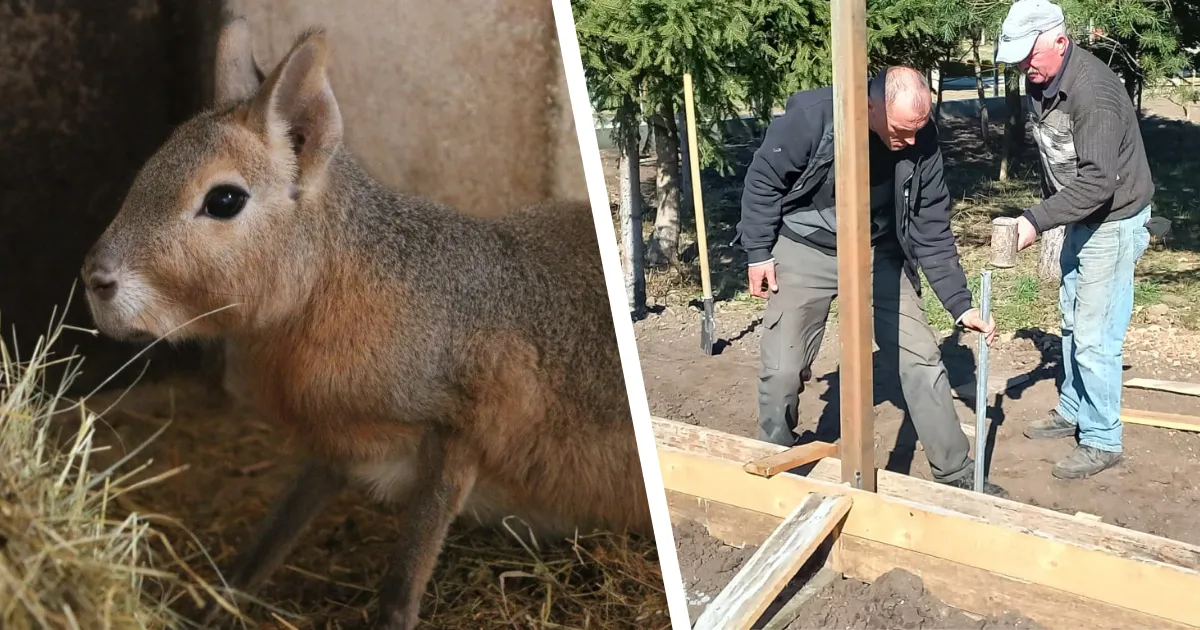 Зображення до новини